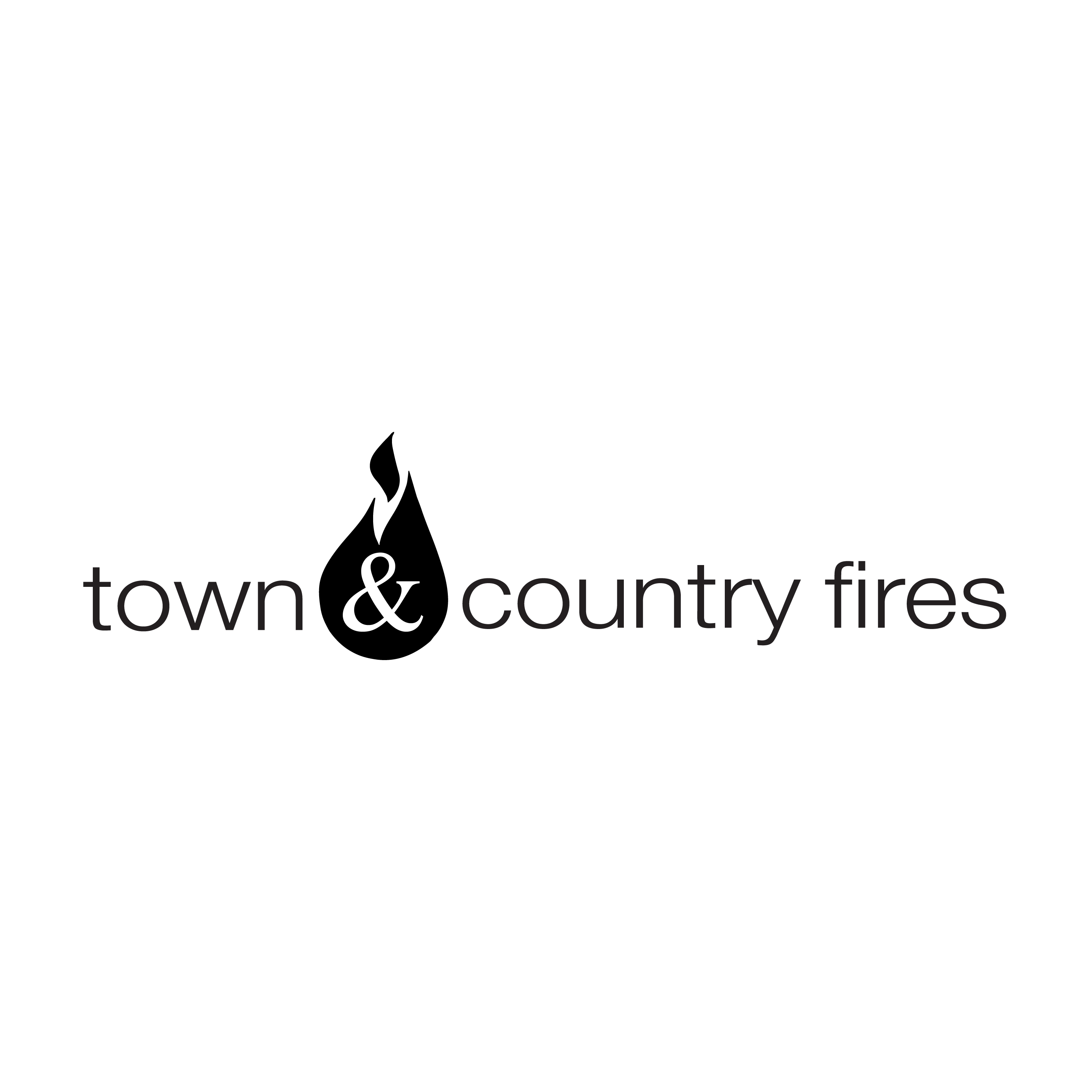 Town and Country Fires Wood Burning Stoves Embers Bristol
